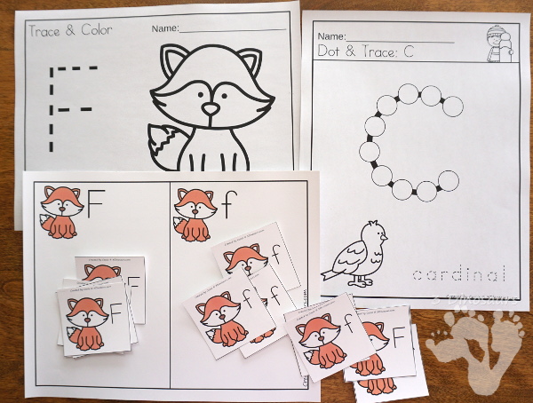 Animals in Winter Packs - Preschool & Tot - with loads of activities that work on abcs, numbers, math counting and more -The pack has a mix of hands-on and no-prep activities - 3Dinosaurs.com