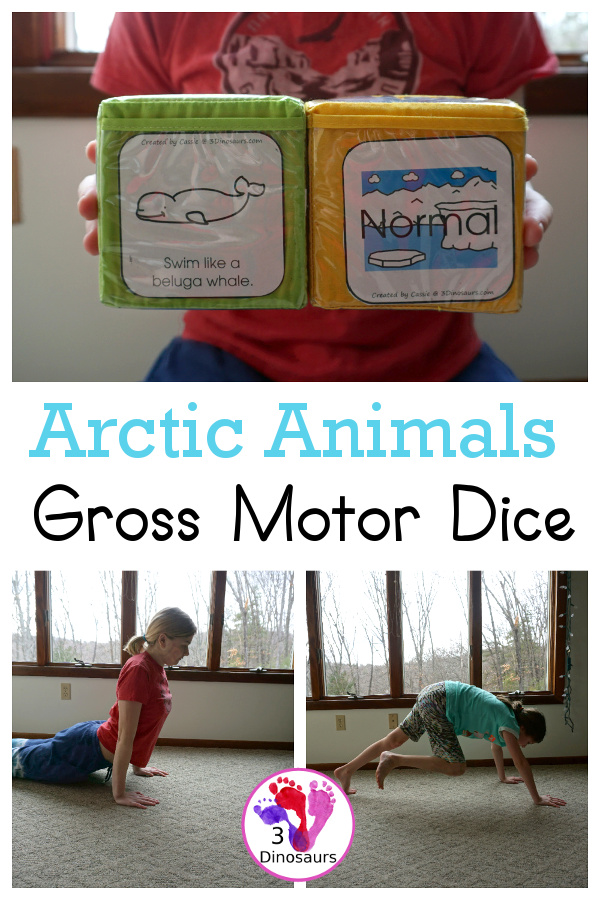 Free Arctic Animals Themed Gross Motor Dice to get kids moving and have fun with easy gross motor animals movements for the arctic animals. This is a fun change up and great for doing polar bear walks, swimming like a beluga whale, and more - 3Dinosaurs.com