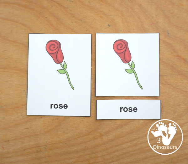 Valentines Pack - 3 part cards to use with the book and general vocab cards.