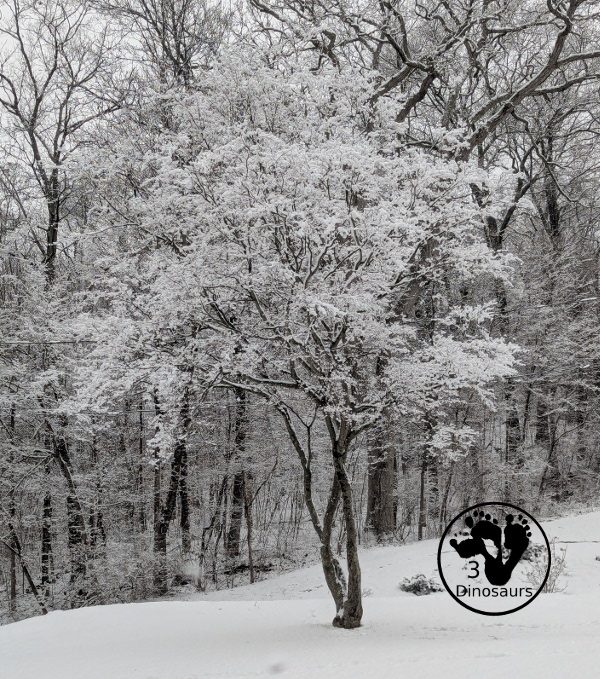 Winter Tree Painting Craft For Kids a fun mixed watercolor and q-tip painting winter tree for kids. A fun winter painting idea for kids that can do at different levels. - 3Dinosaurs.com