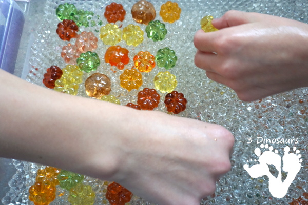 Pumpkin Water Beads Sensory Bin - fun sensory play with clear water beads and acrylic pumpkins make a fun sensory play for the fall - 3Dinosaurs.com