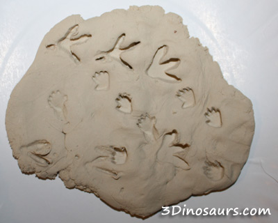 Girls Dinosaur Party!