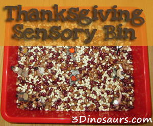 Thanksgiving Sensory Bin