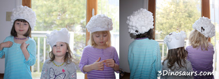 Cotton Ball Wigs - 3Dinosaurs.com