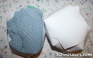 Cotton Ball Wigs - 3Dinosaurs.com