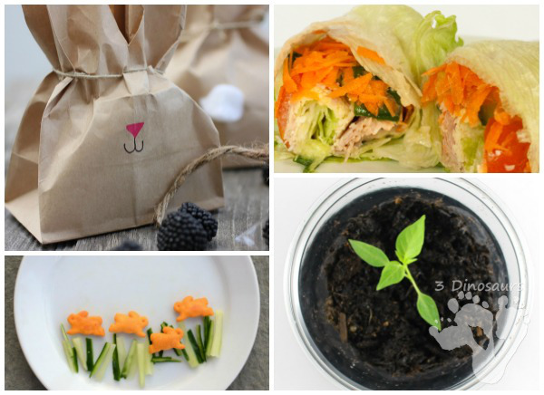 13 Peter Rabbit Activities - Virutal Book Club Activities - abc, numbers, science, cooking, sensory, color, and fine motor - 3Dinosaurs.com