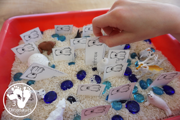 Free Polar Bear Sorting Nouns & Verbs with Polar Bears Past Bedtime - 20 sorting cards for nouns and verbs with sorting mat and writing worksheet - 3Dinosaurs.com