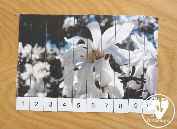 Free Spring printable  - 10 piece puzzles with numbers 1 to 10- 3Dinosaurs.com
