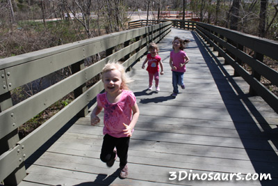 The Dinosaur Place Review