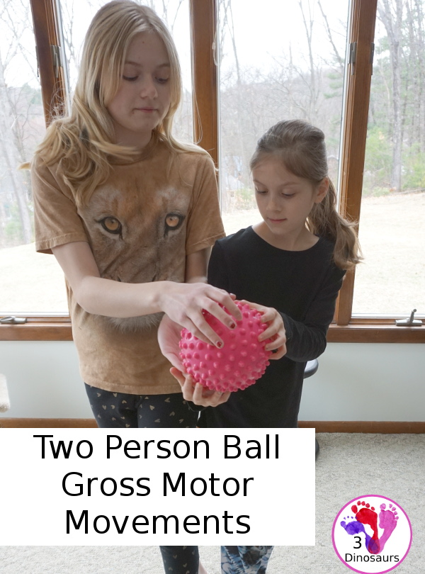 Two Person Gross Motor Movements with Balls - a fun look at three activities you can do passing a ball between two people - 3Dinosaurs.com