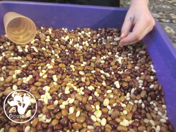 Flowers And Bean Sensory Bin - a simple sensory bin with mixed beans and flowers in the beans with some cups - 3Dinosaurs.com