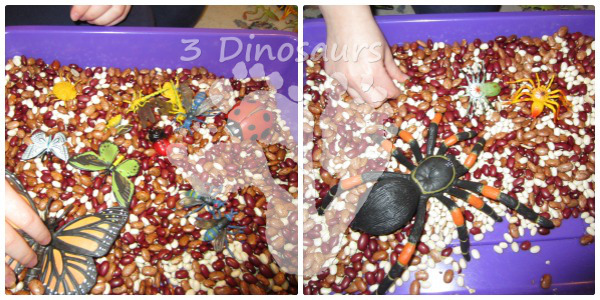 Bug Sensory Bin - 3Dinosaurs.com