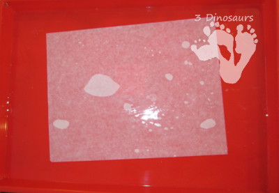 Spring Blossom Tree Painting - 3Dinosaurs.com