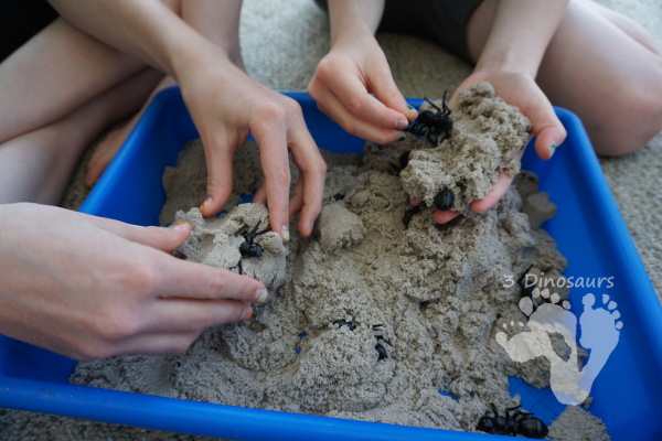 Fun Sensory Play in an Ant & Kinetic Sand Sensory Bin - an easy to set up and play in sensory bin for kids with an ant theme - 3Dinosaurs.com