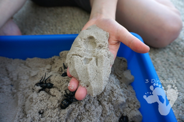 Fun Sensory Play in an Ant & Kinetic Sand Sensory Bin - an easy to set up and play in sensory bin for kids with an ant theme - 3Dinosaurs.com