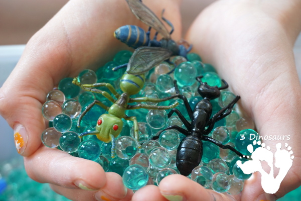 Water Bead Bug Sensory Bin - a fun easy sensory activity that kids can have fun exploring with - 3Dinosaurs.com