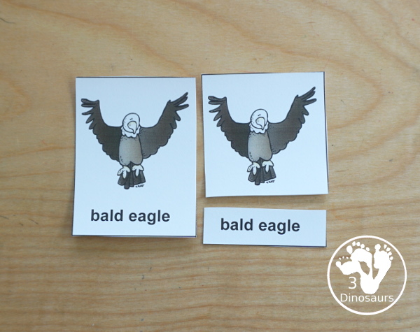 Free 4th of July Pack for Tot, PreK & Kindergarten - a mix of Fourth of July hands-on printables and Fourth of July worksheets for kids. A mix of great activities for kids to learn different words that are about the Fourth of July. 3Dinosaurs.com