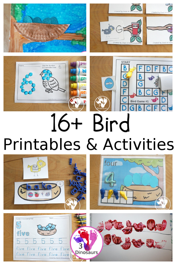 Bird Activities & Printables on 3Dinosaurs.com