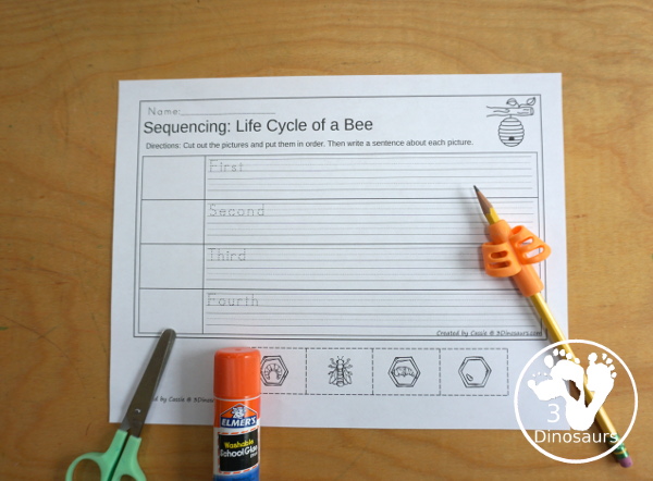 Life Cycle of a Bee Sequencing - with writing, reading, order of event cards, clip cards, cut and paste and more. The sequencing has four steps - 3Dinosaurs.com