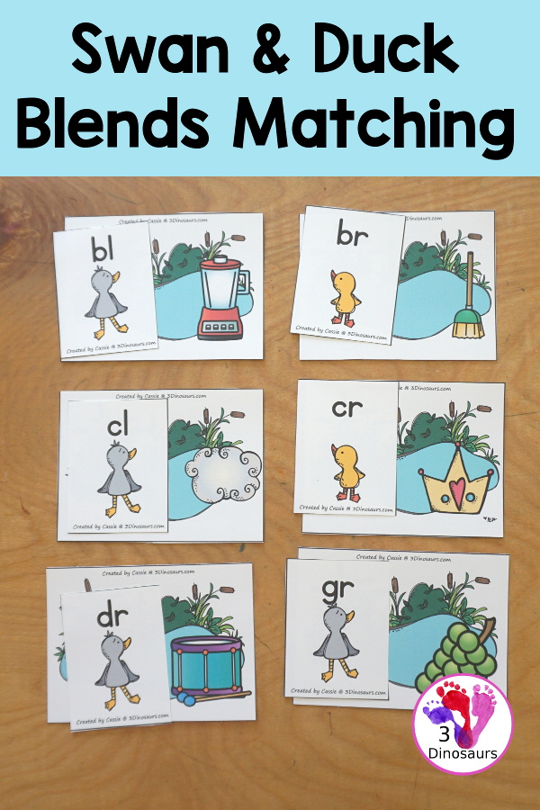 Free Swan & Duck Blends Sorting Printable - with all the beginning blends for kids to match the blend letters to a picture of the blend with ducks and swans. A fun Ugly Duckling printable for kids.  3Dinosaurs.com