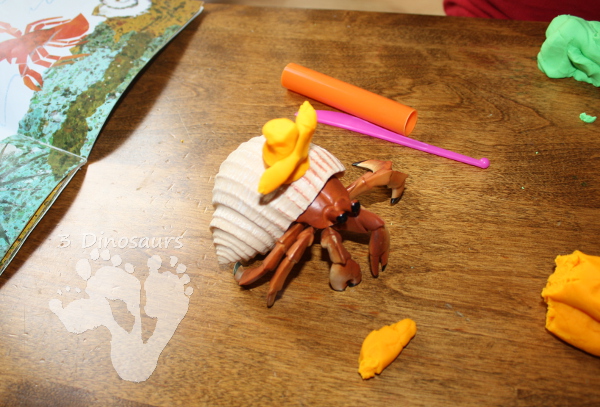Playdough House for Hermit Crab - 3Dinosaurs.com