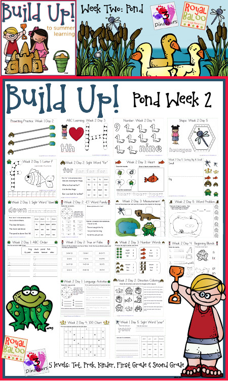Build Up Summer Learning: Week 2 Pond - 3Dinosaurs.com