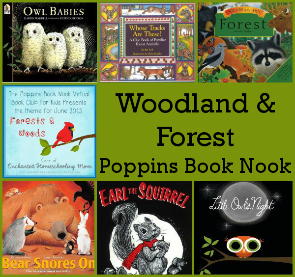 June Poppins Book Nook: Forest & Woodland - 3Dinosaurs.com