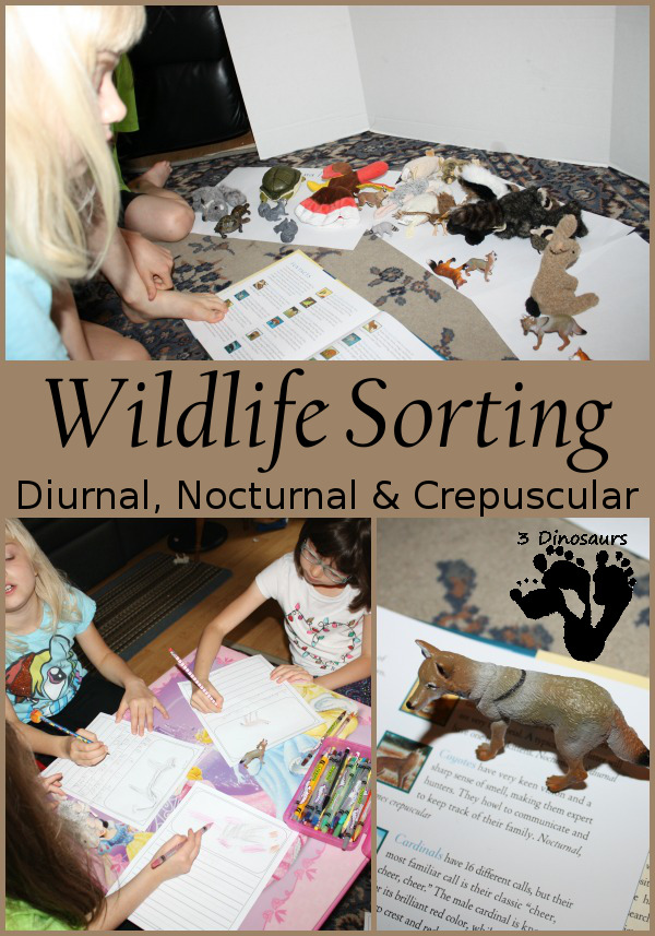 Wildlife Sorting: Diurnal, Nocturnal & Crepuscular - 3Dinosaurs.com