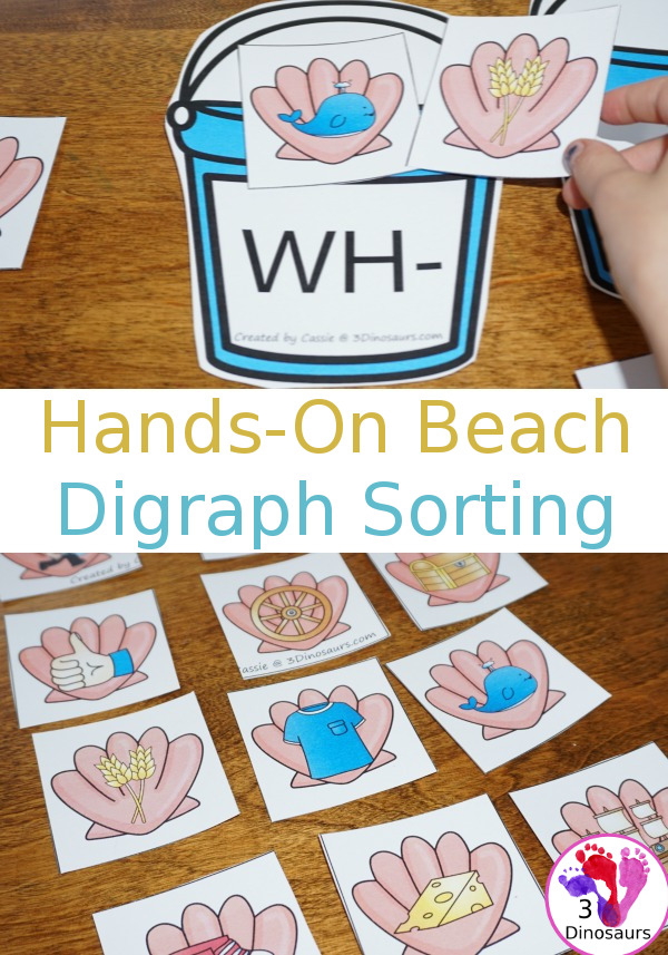 FREE Fun Hands-On Beach Digraph Sorting - with digraphs: ch, sh, th and wh with sorting mats and shells with pictures that match the mats - 3Dinosaurs.com
