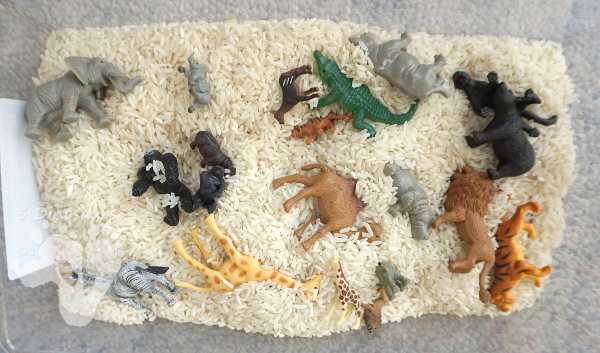 Zoo Theme Rice Sensory Bin - an easy to put together sensory bin that kids can use.  - 3Dinosaurs.com 