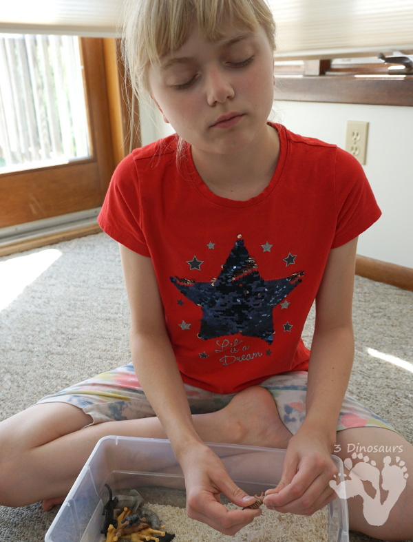 Zoo Theme Rice Sensory Bin - an easy to put together sensory bin that kids can use.  - 3Dinosaurs.com 