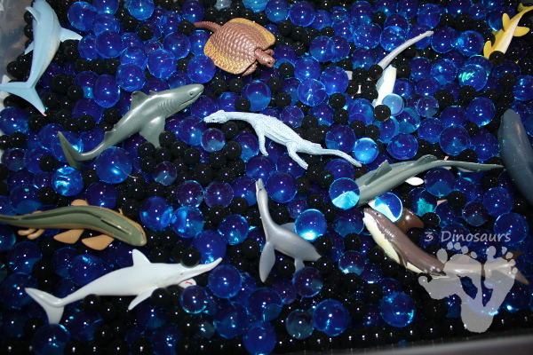 Prehistoric Ocean Animals Water Bead Sensory Bin - 3Dinosaurs.com