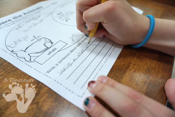 Free Comparing Ocean Animals with a Venn Diagram - 4 pages of writing about ocean animals. - 3Dinosaurs.com