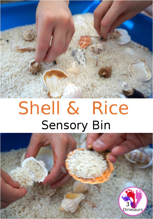 Easy Sensory Play: Shell and Rice Sensory Bin - a simple and easy bin that kids can have fun playing in - 3Dinosaurs.com