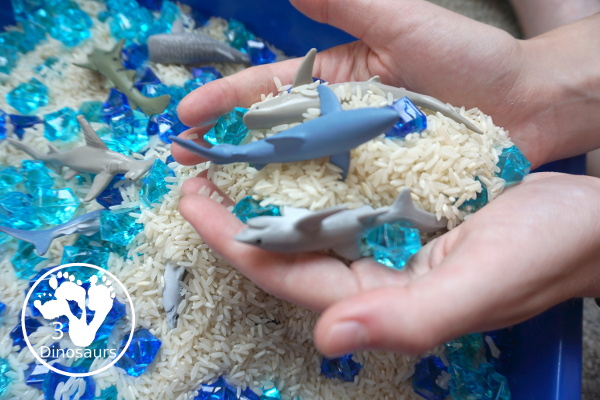Shark Rice Sensory Bin for shark week with a mix of acrylic rocks, rice and a shark toob for the shark figures for kids to play in prek and kindergarten - 3Dinosaurs.com