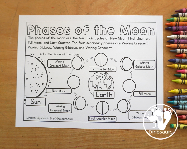 Free Phases of the Moon Coloring Page Printables - you have information at the top about the different phases of the moon. You have the Sun, Earth and 8 phases of the moon for kids to color. You can work on learning these phases in this simple coloring page. And it has Northern and Southern Hemisphere options - 3Dinosaurs.com