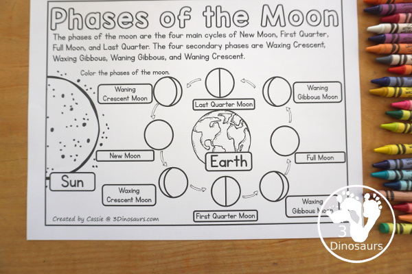 Free Phases of the Moon Coloring Page Printables - you have information at the top about the different phases of the moon. You have the Sun, Earth and 8 phases of the moon for kids to color. You can work on learning these phases in this simple coloring page. And it has Northern and Southern Hemisphere options - 3Dinosaurs.com