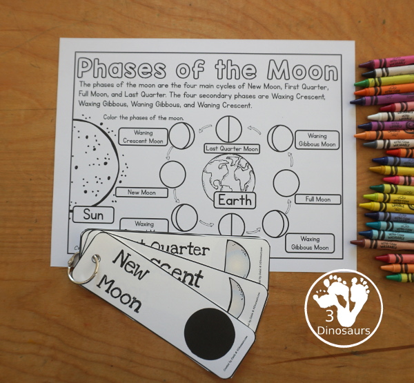 Free Phases of the Moon Coloring Page Printables - you have information at the top about the different phases of the moon. You have the Sun, Earth and 8 phases of the moon for kids to color. You can work on learning these phases in this simple coloring page. And it has Northern and Southern Hemisphere options - 3Dinosaurs.com