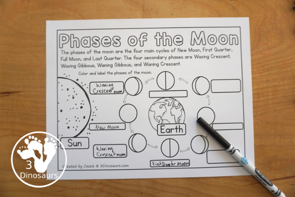 Free Phases of the Moon Coloring Page Printables - you have information at the top about the different phases of the moon. You have the Sun, Earth and 8 phases of the moon for kids to color. You can work on learning these phases in this simple coloring page. And it has Northern and Southern Hemisphere options - 3Dinosaurs.com