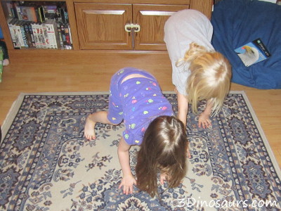 Baby Bear, Baby Bear Gross Motor