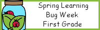 Spring Learning: First Grade Bug Week